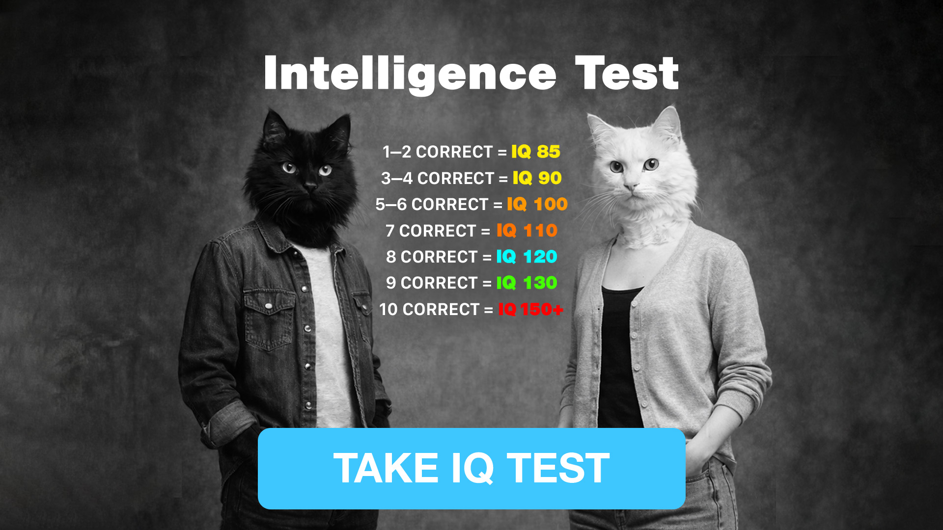 My IQ Facebook ad