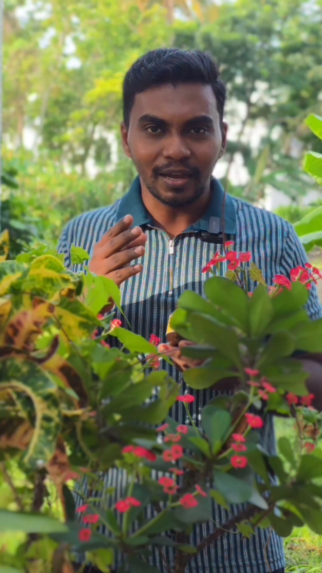 Shevalon Varmakalai Facebook ad: ஊட்டச்சத்து லேகியம்/ஜாம்