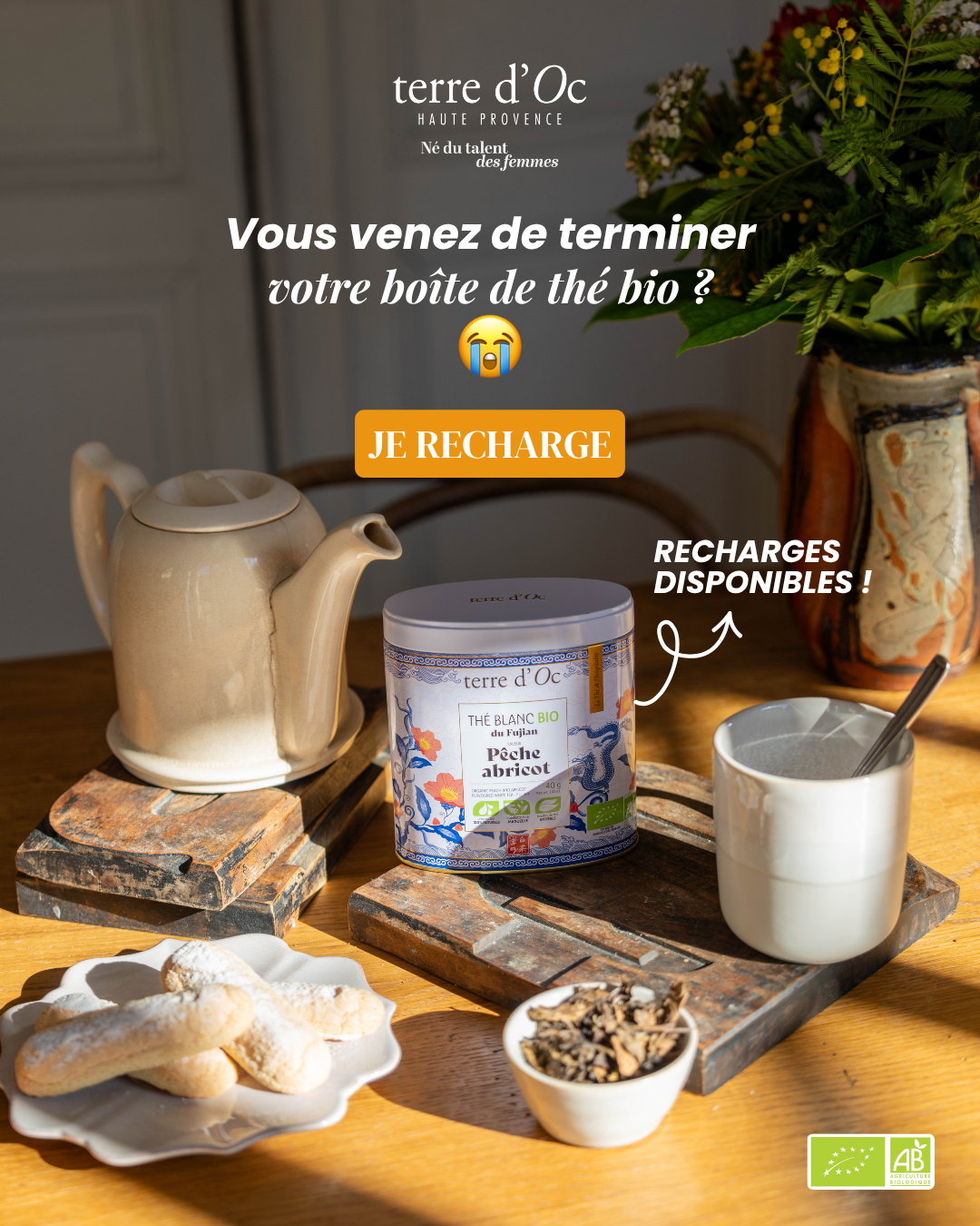 terre d'Oc Facebook ad