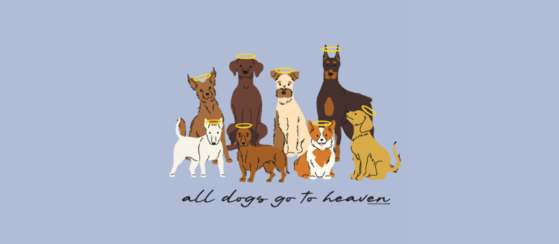 Teddy the Dog Apparel Facebook ad