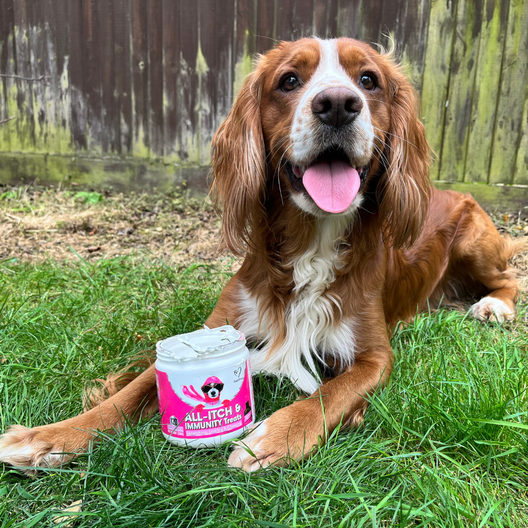 Nutri Paw Facebook ad