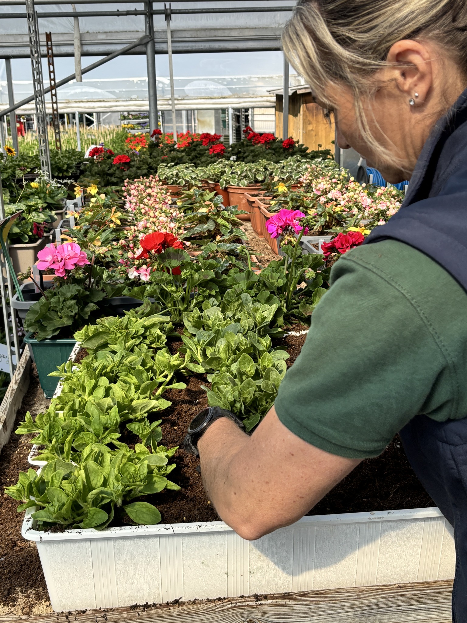 Blumen- und Gartenwelt TRAPP Facebook ad: Du möchtest deine Balkonkästen neu bepflanzen oder deinen…