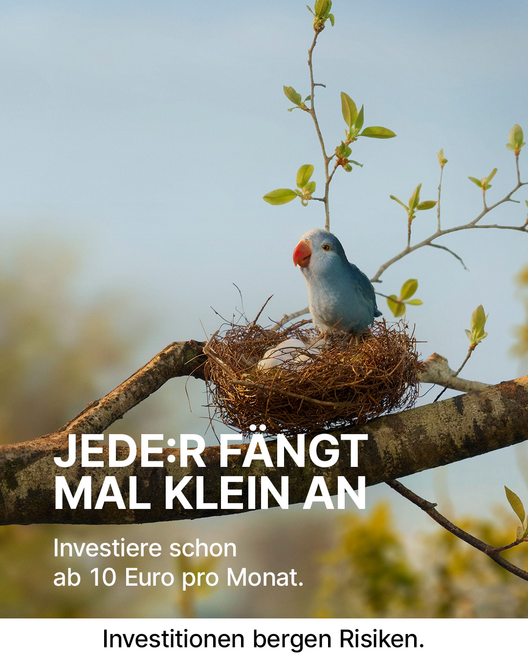 Erste Bank und Sparkasse Facebook ad