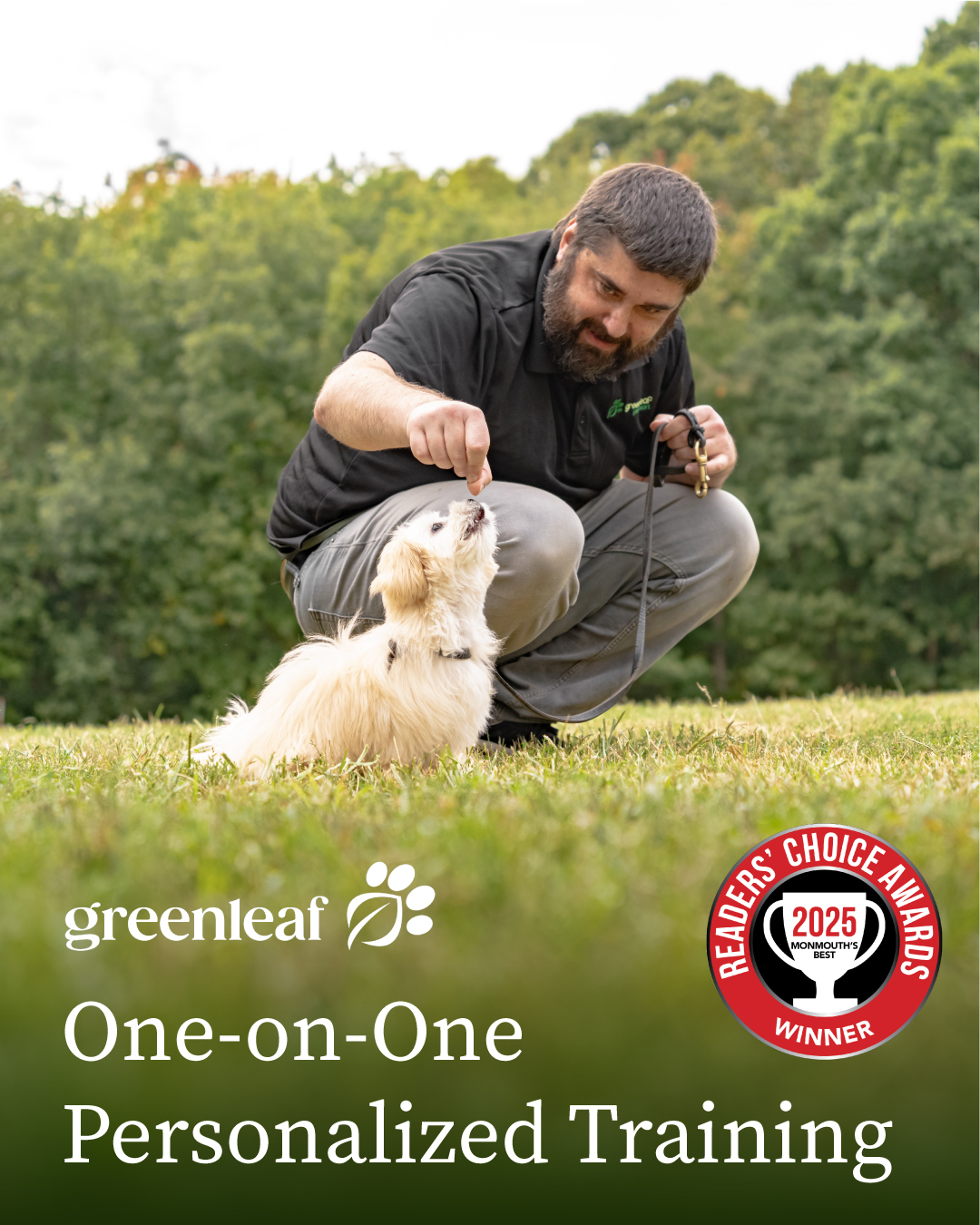 Green Leaf Pet Resort Facebook ad
