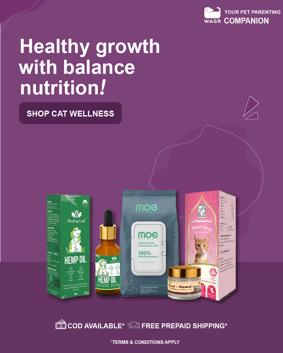 Wagr Facebook ad