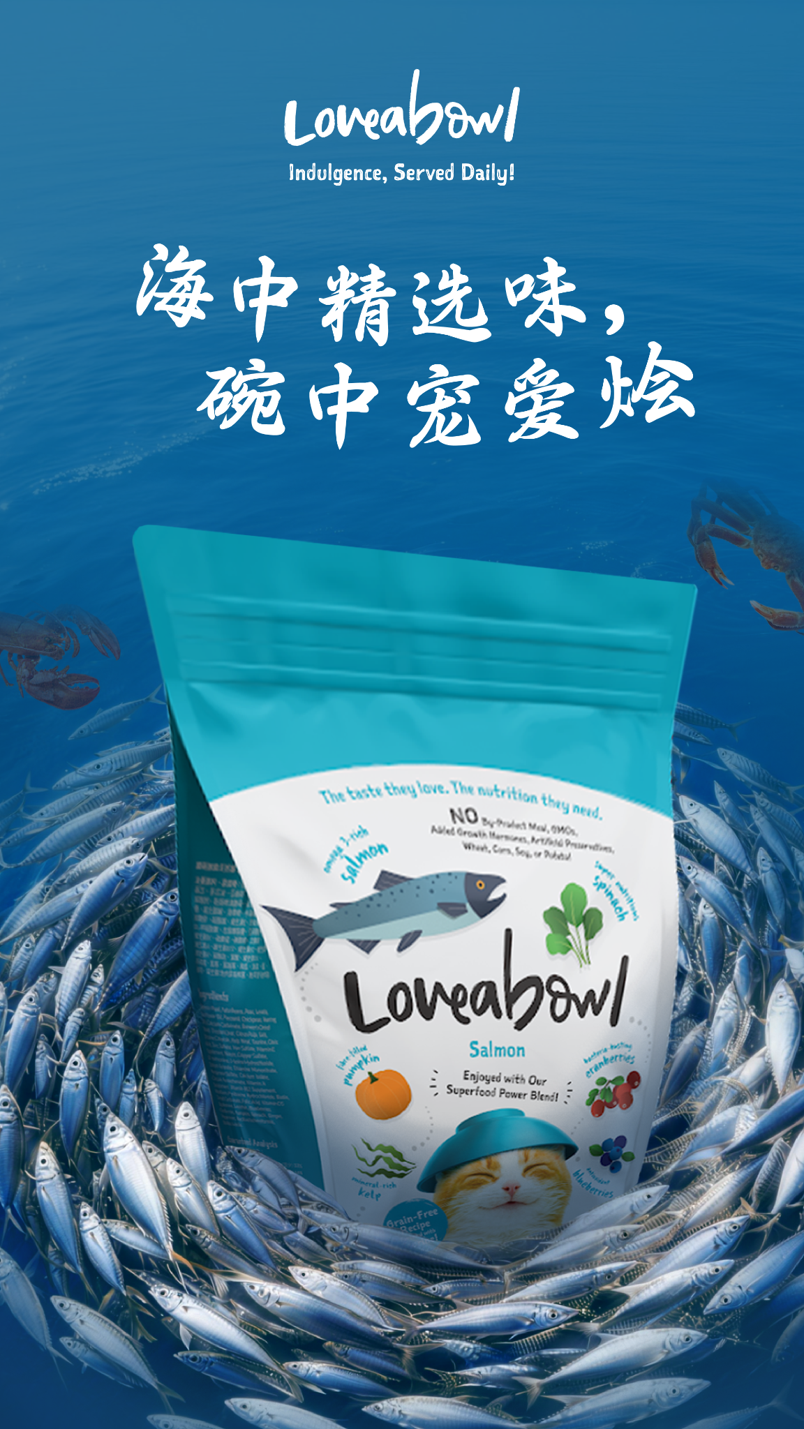 Loveabowl Pet Food Malaysia Facebook ad: 来自海洋的三文鱼风味,