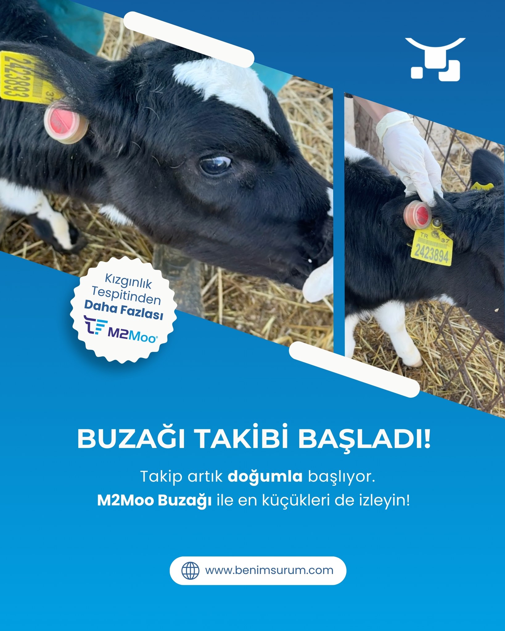 BenimSürüm Facebook ad: M2Moo ile sürünüzde neler olduğunu tahmin etmek zorunda…