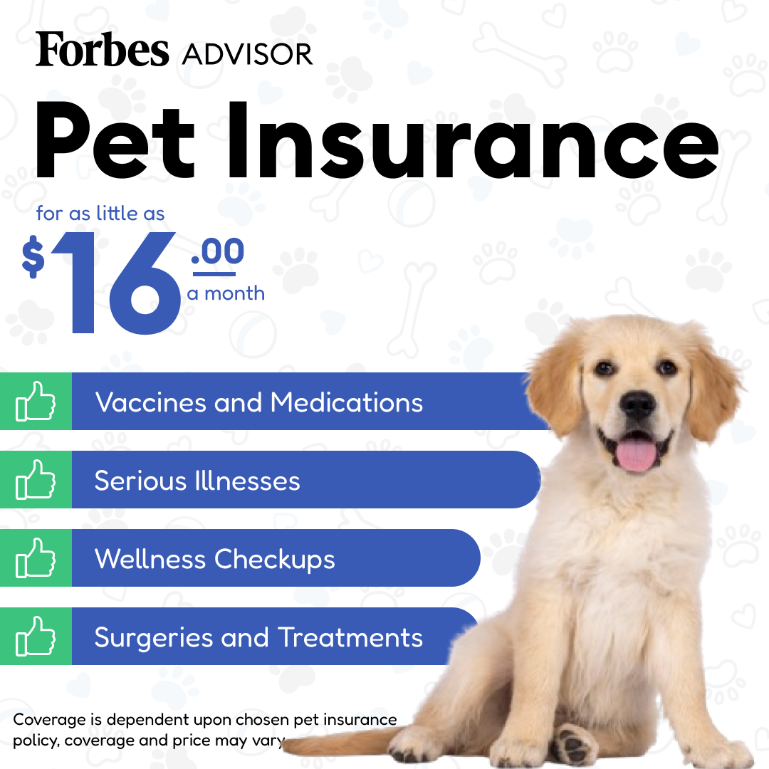 Forbes Advisor Facebook ad