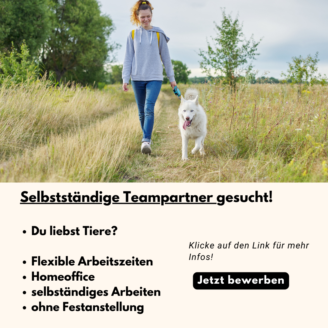 Tierfutterberater.com Facebook ad