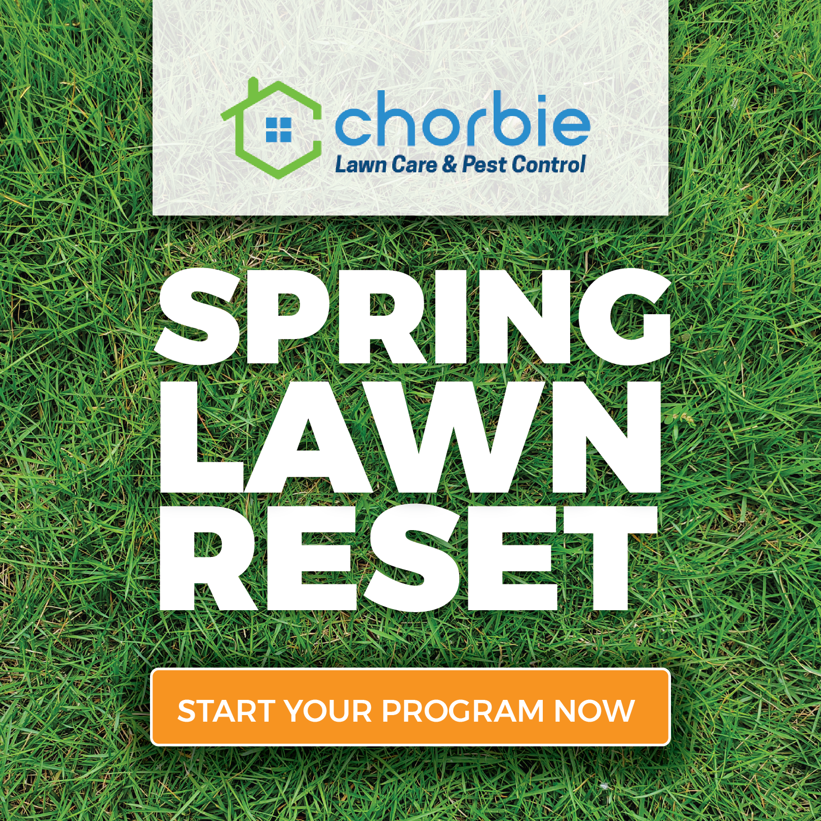 Chorbie Facebook ad from Feb 20, 2026