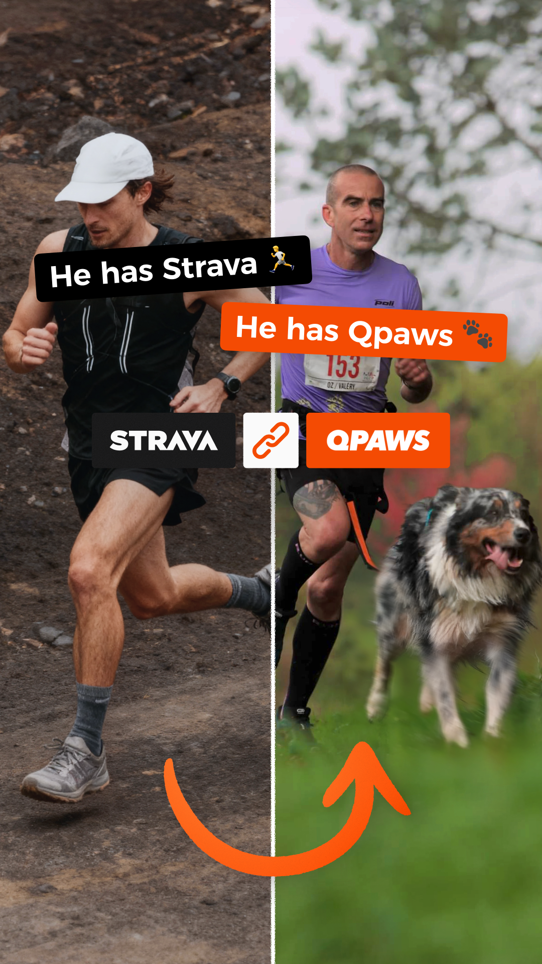 QPAWS Facebook ad