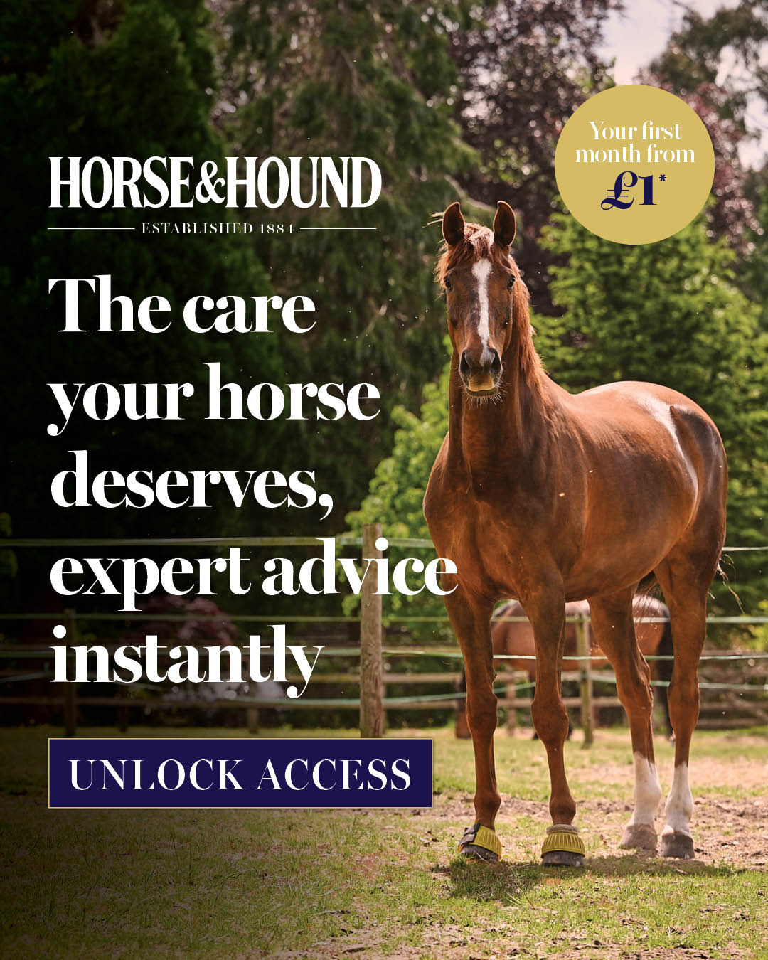 Horse & Hound Facebook ad from Jun 28, 2026