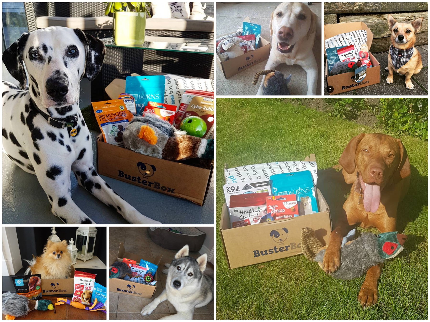 TopDog Prizes Facebook ad