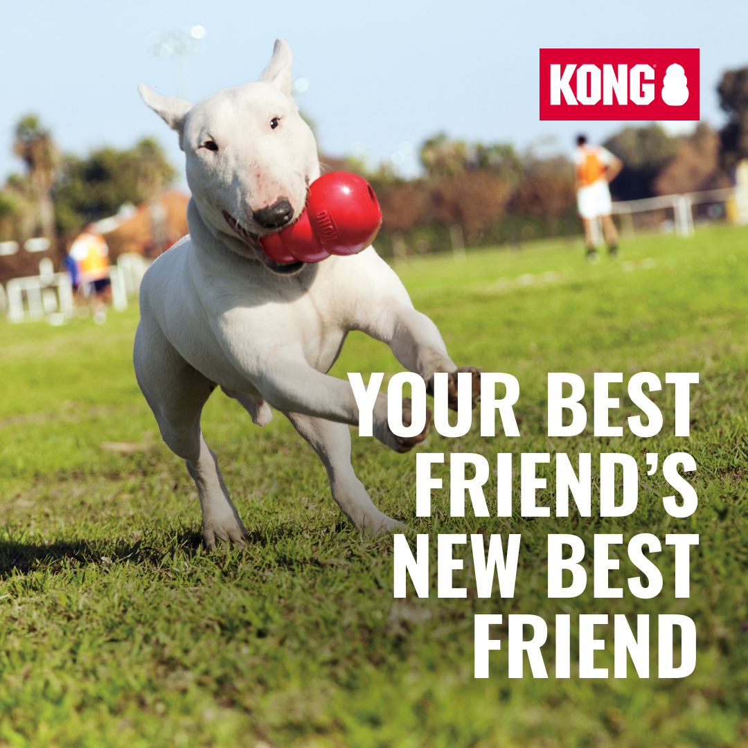 KONG Facebook ad