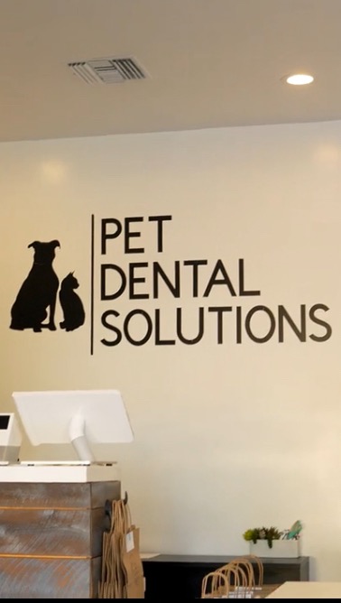 Pet Dental Solutions Facebook ad: Did you know?