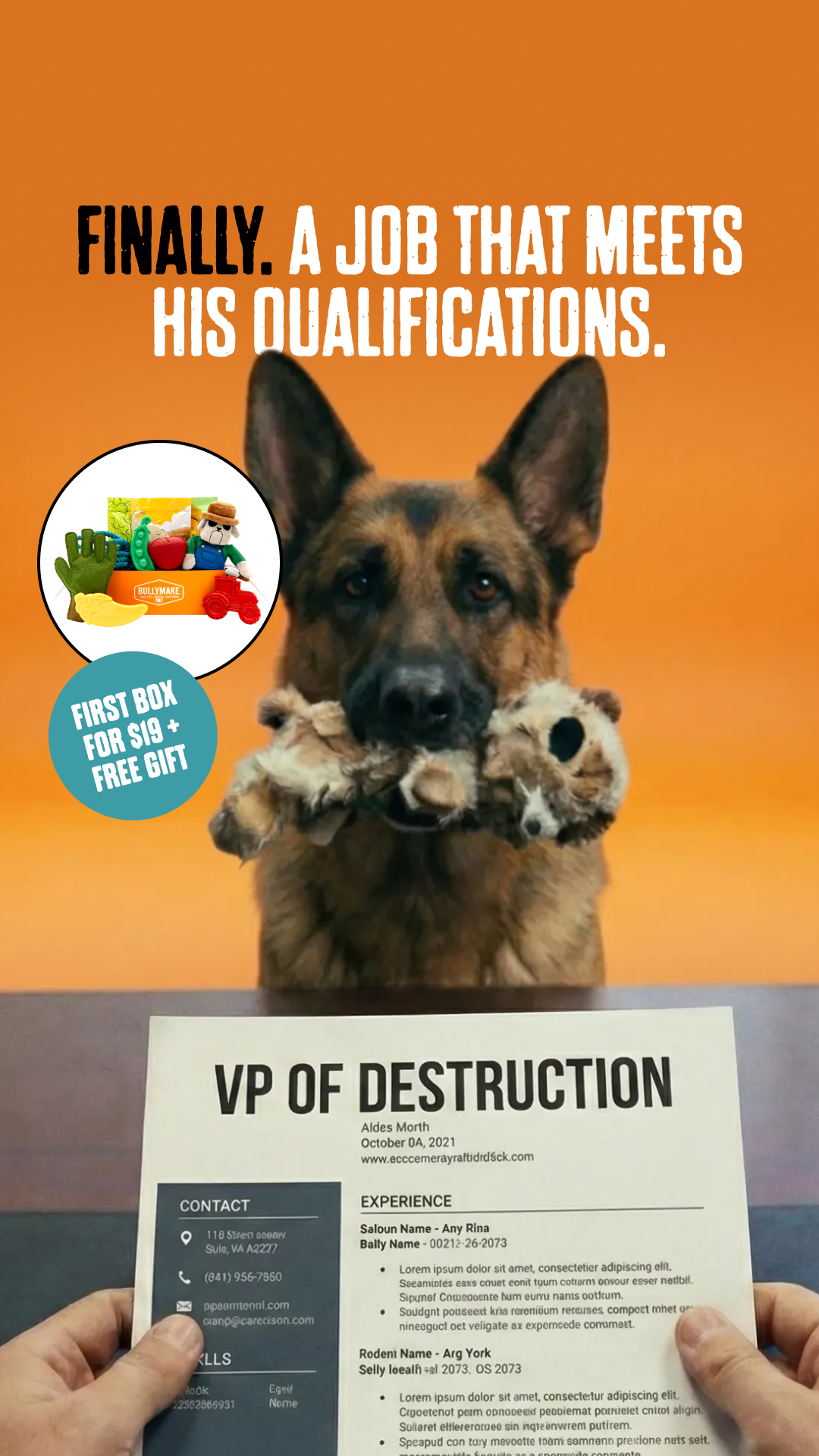 Canine Curations Facebook ad: 40% OFF Your First Box