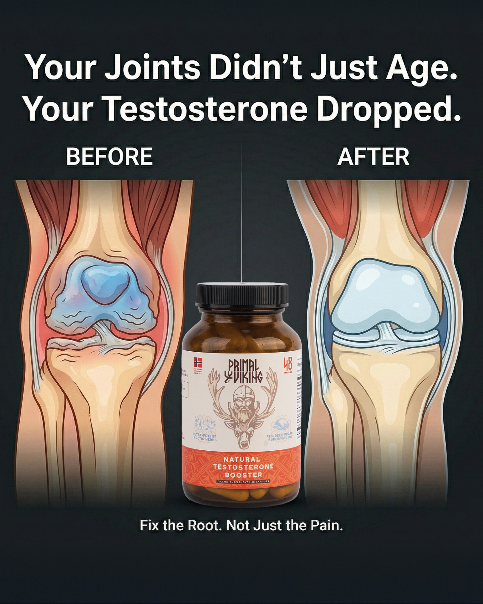 Primal Viking Facebook ad
