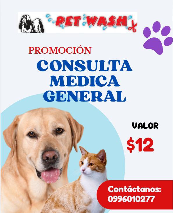 Peluqueria Canina y Veterinaria Pet Wash Facebook ad: Contamos con un equipo médico capacitado para revolver…