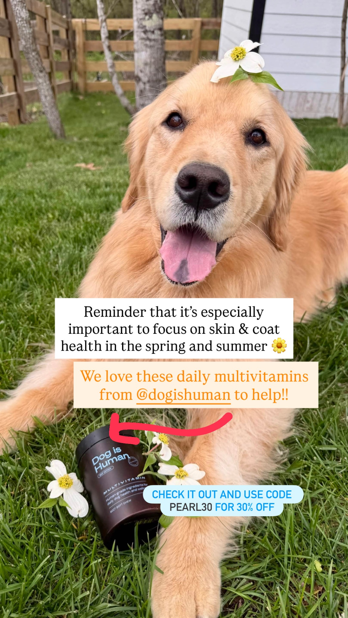 pearl.the.golden.girl Facebook ad
