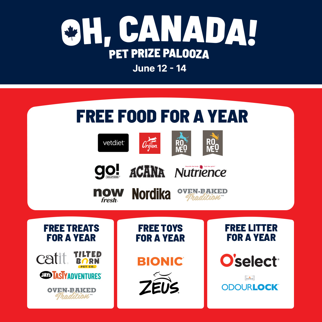 REN'S PETS Facebook ad
