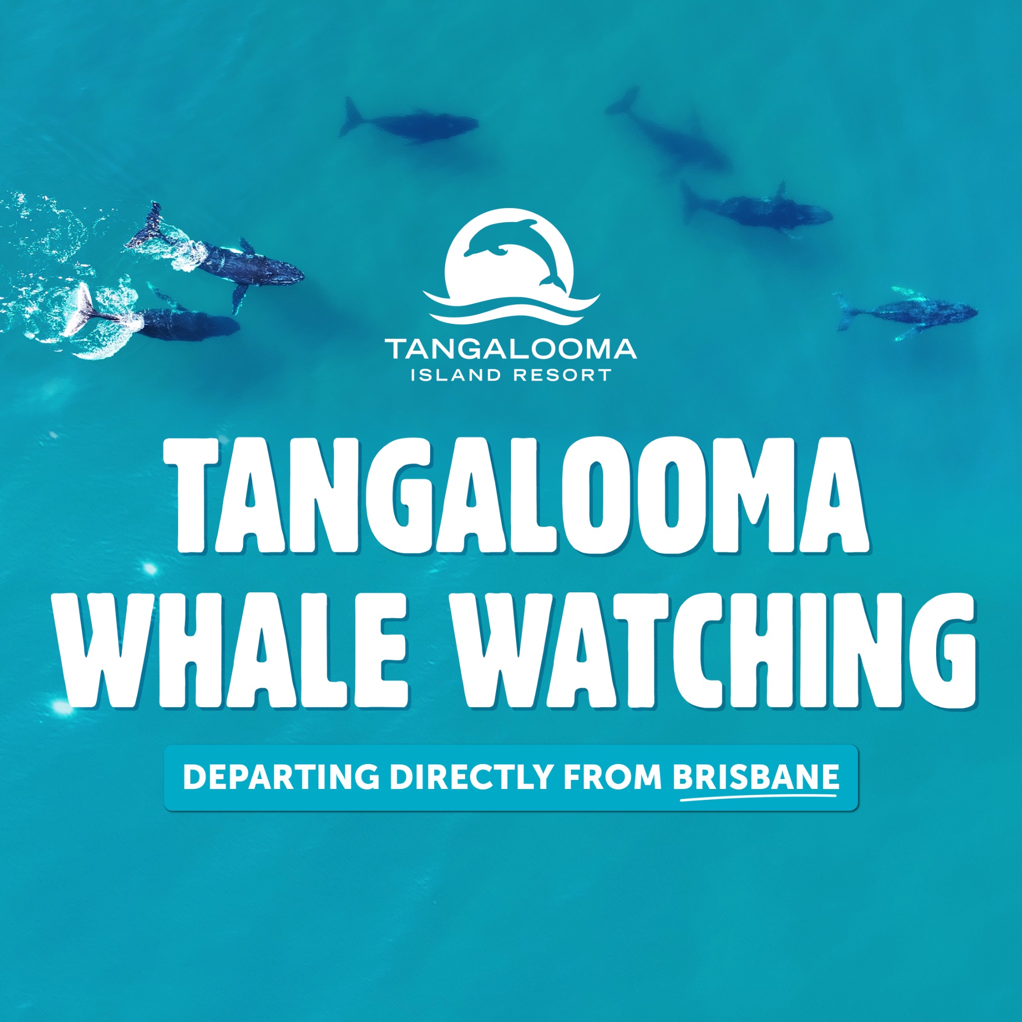 Tangalooma Island Resort Facebook ad from Jun 5, 2026