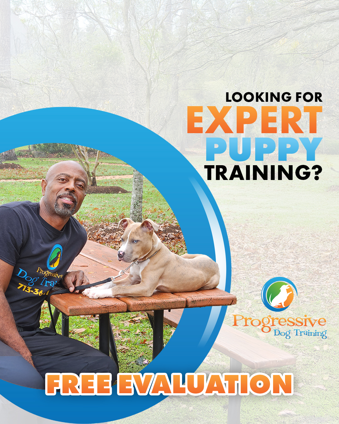 Progressive Dog Training Facebook ad from Dec 10, 2025