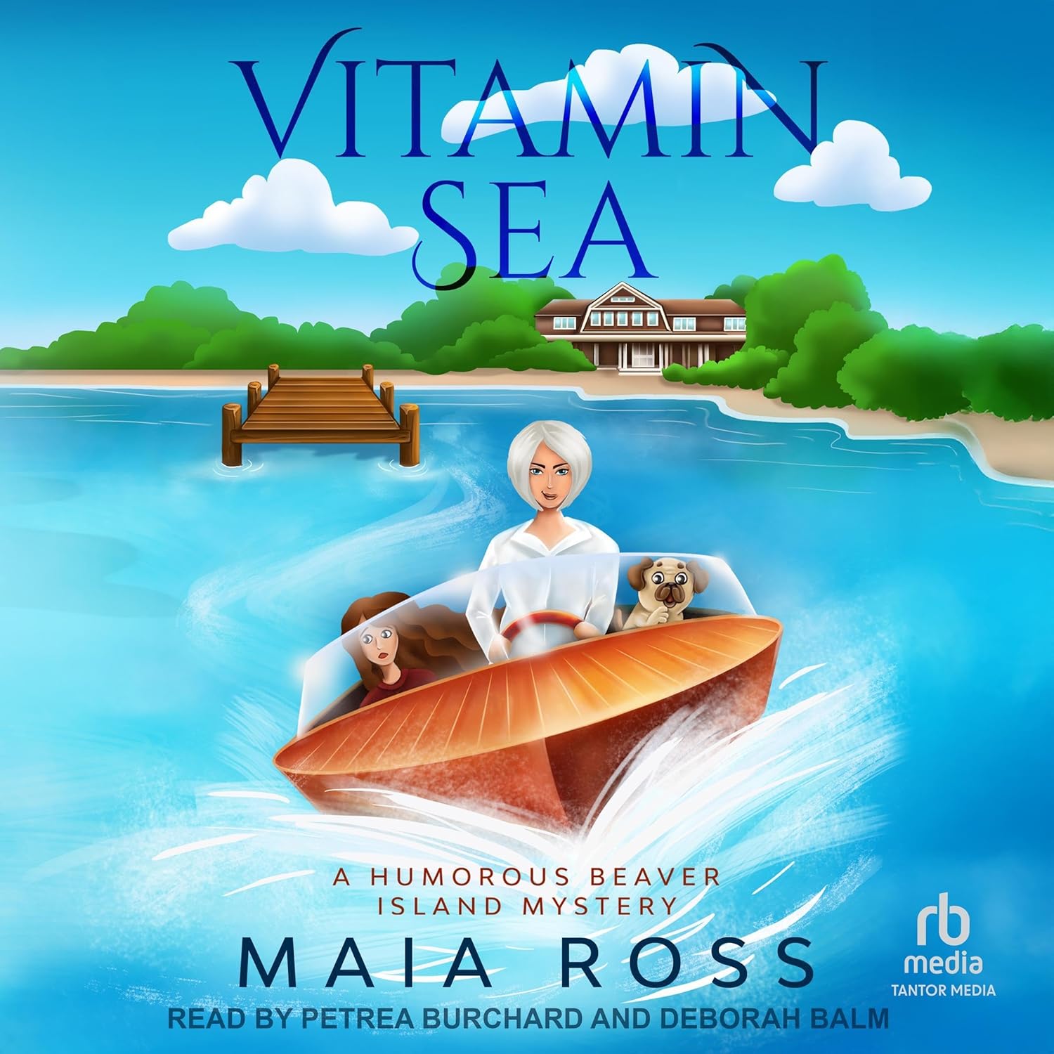Maia Ross Books Facebook ad