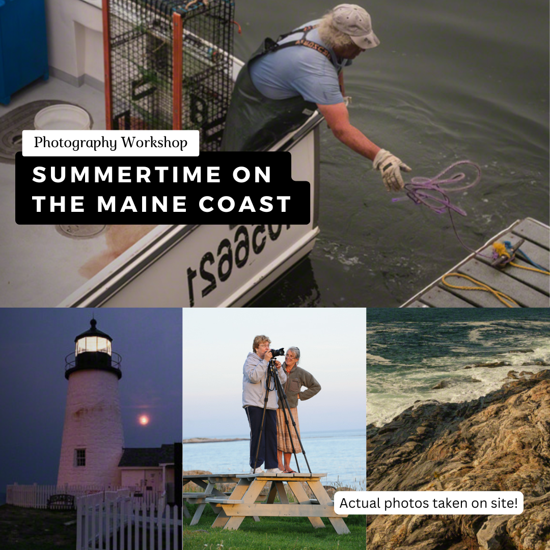 Barefoot Contessa Photo Adventures Facebook ad