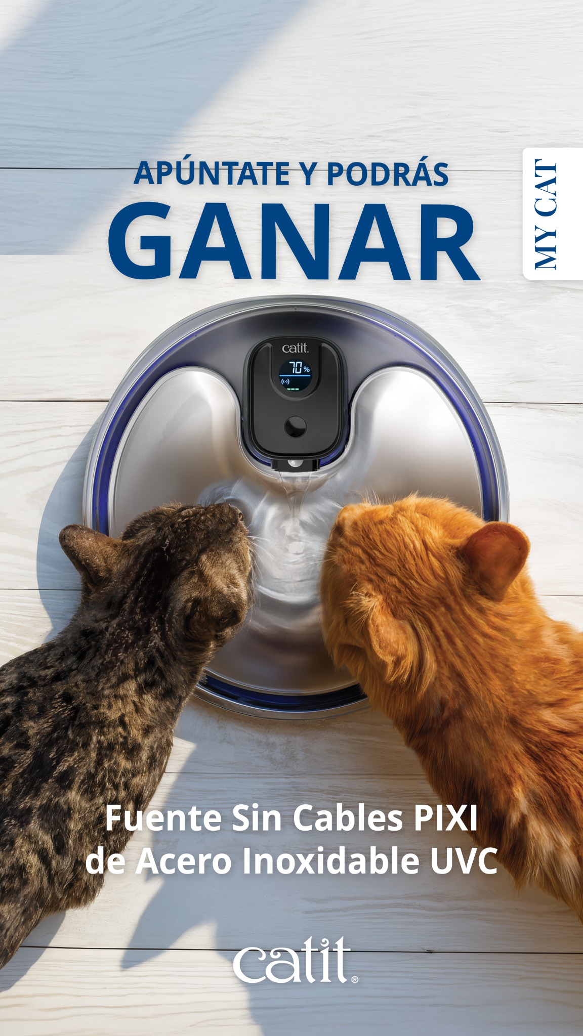 Catit España Facebook ad