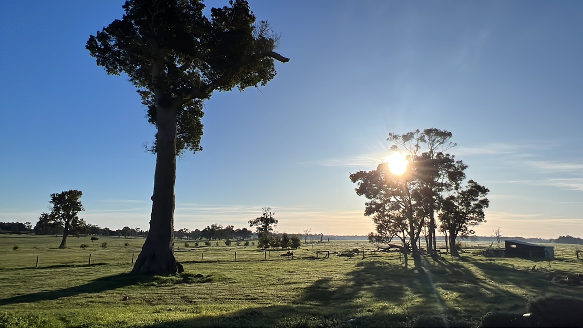 Noughts and Crosses Facebook ad: Peaceful Farm Stay, Perfect Escape