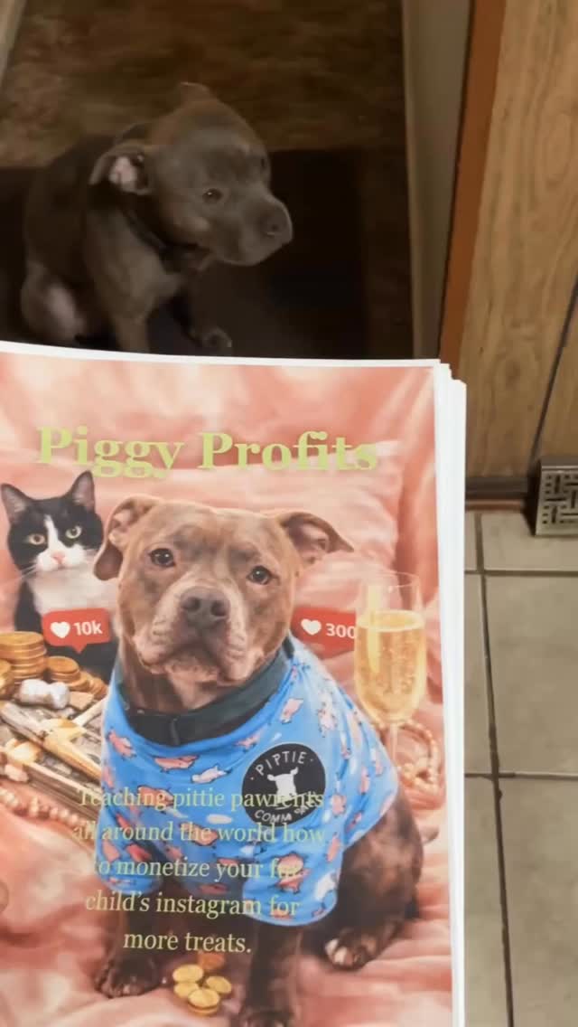 Gracie’s World Facebook ad: Click Learn More to get access to Piggy…
