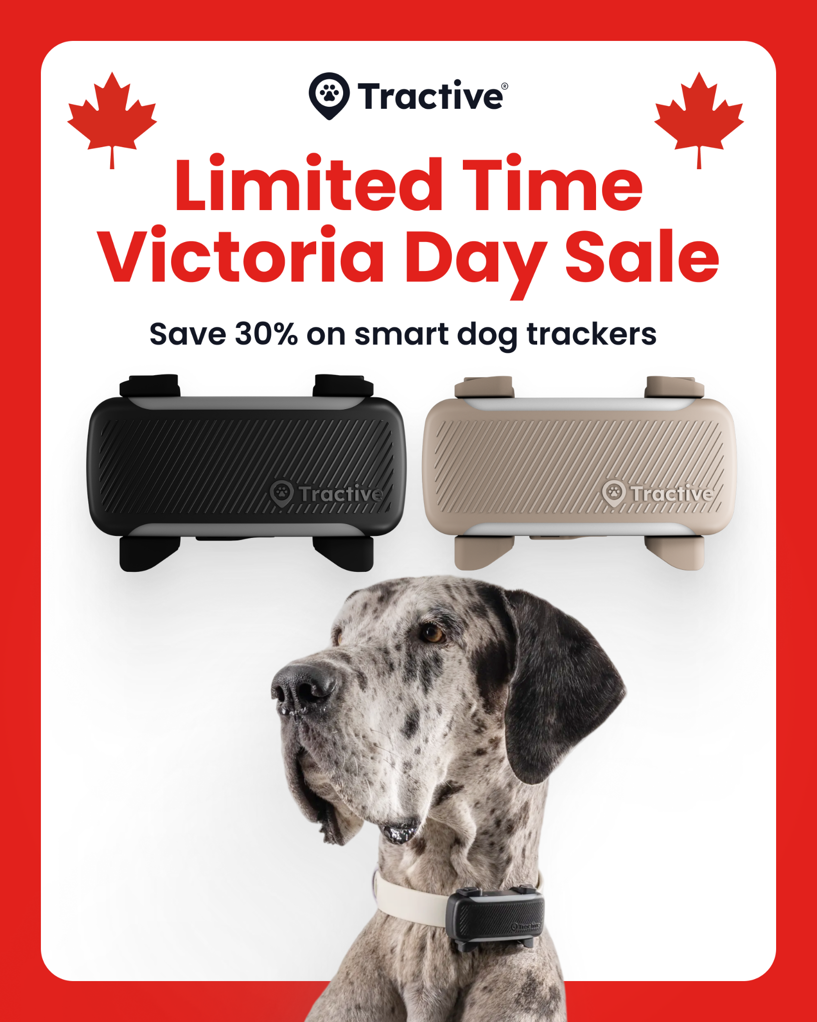 Tractive Facebook ad