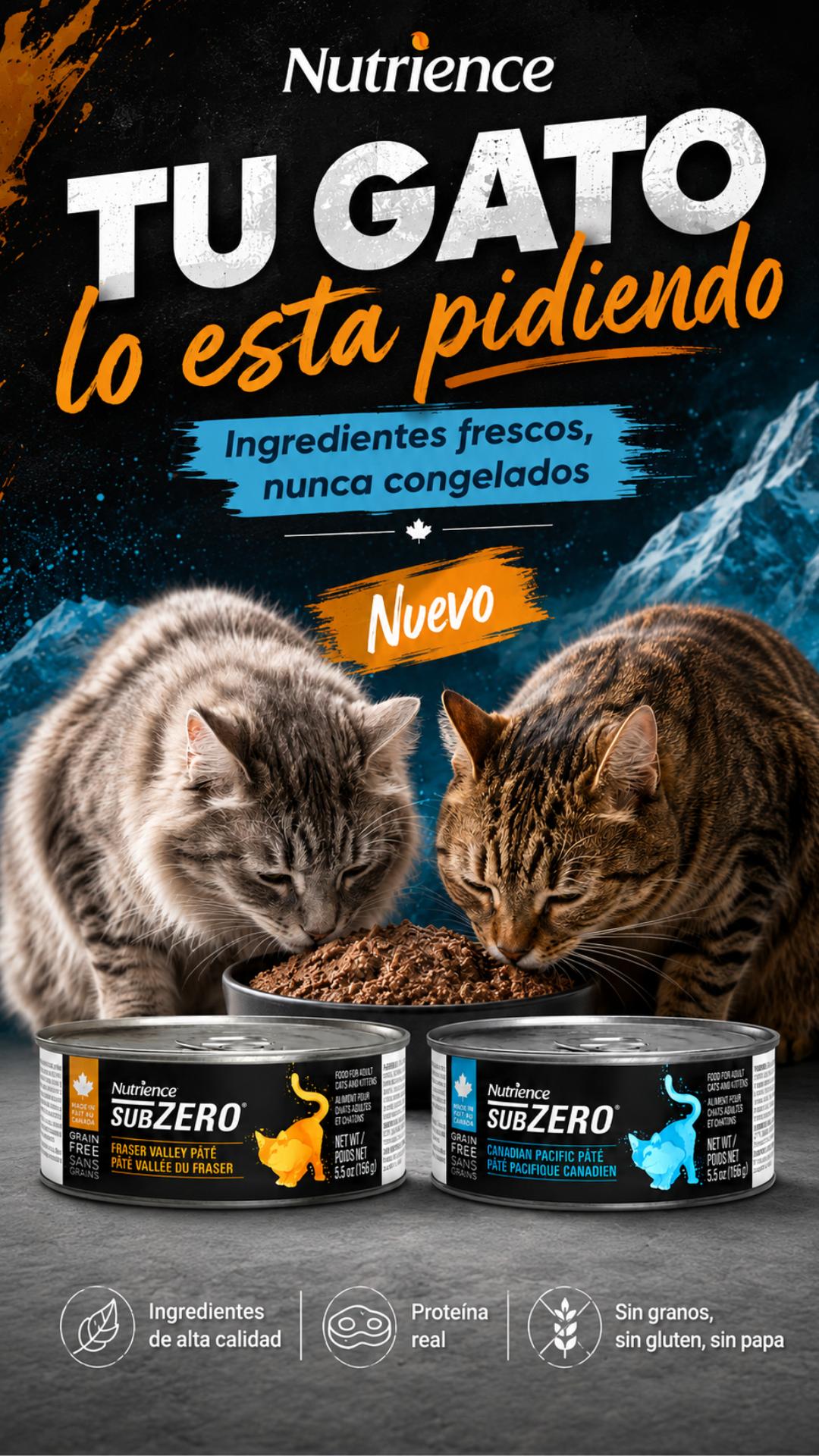 Felinus.cl Facebook ad