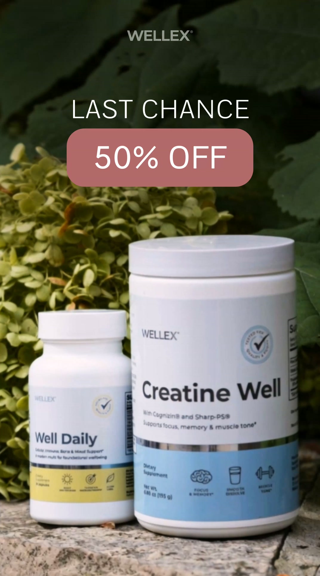 Wellex Facebook ad: Last Chance: 50% OFF the Foundation Bundle