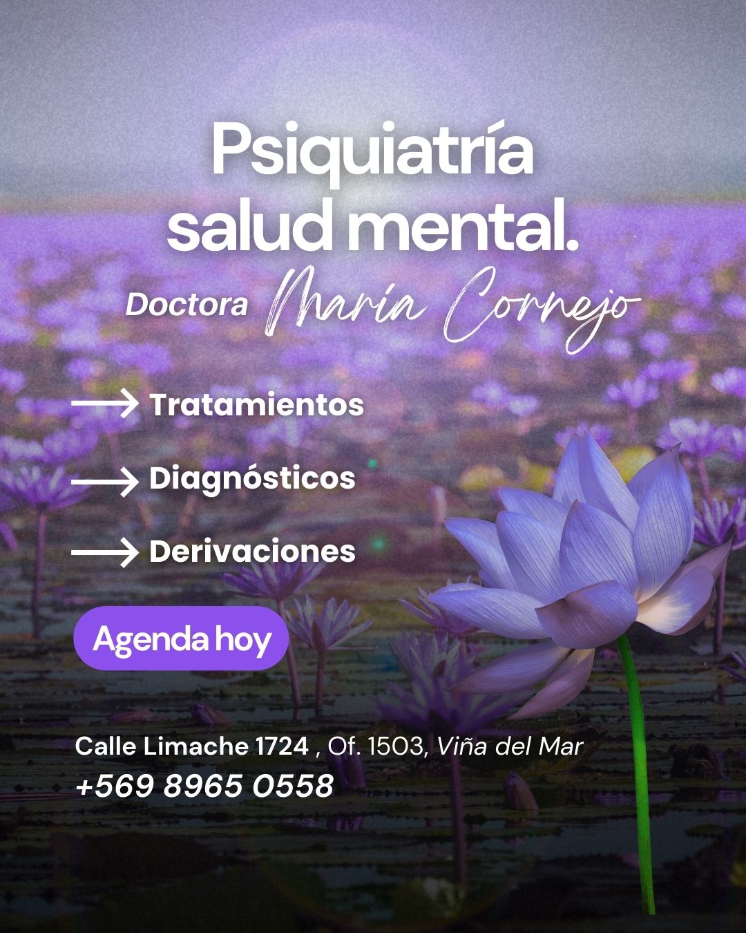 Doctora Cornejo Facebook ad: ¿Estás buscando apoyo para tu bienestar emocional?