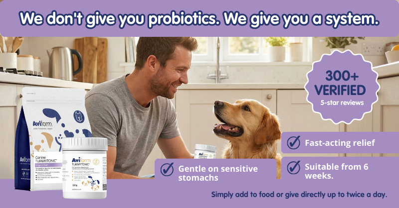 Aviform Nutrition UK - Horse & Dog Facebook ad