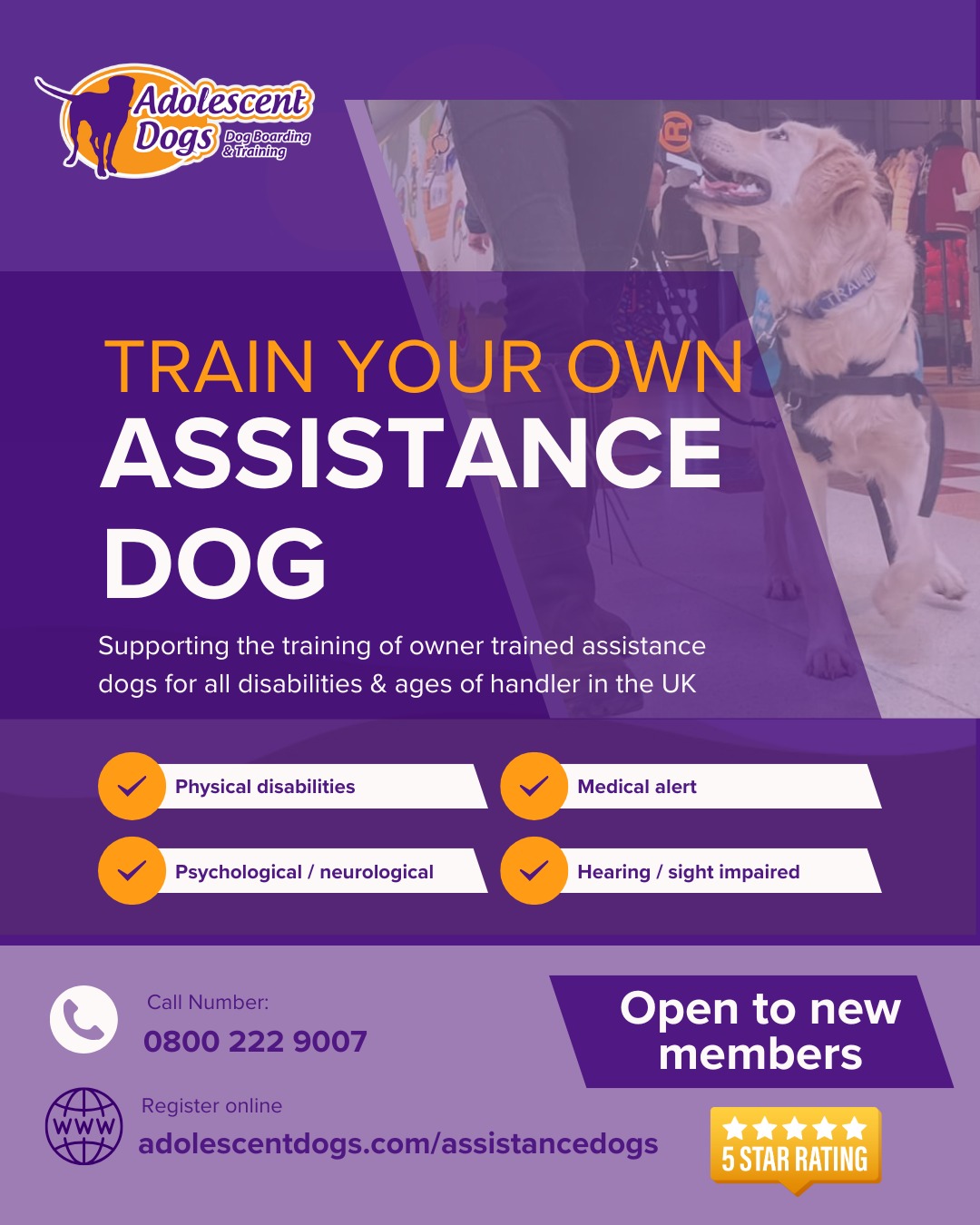 Adolescent Dogs -  Award Winning Dog Training Facebook ad