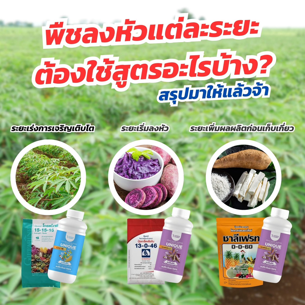 เกษตรนางาม Facebook ad