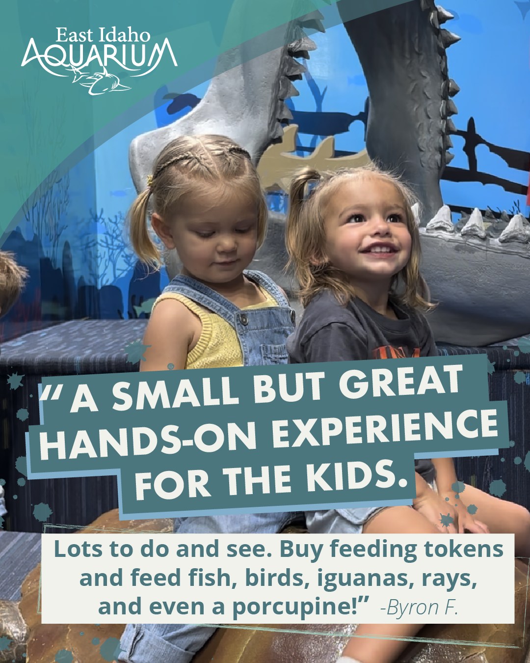 East Idaho Aquarium Facebook ad