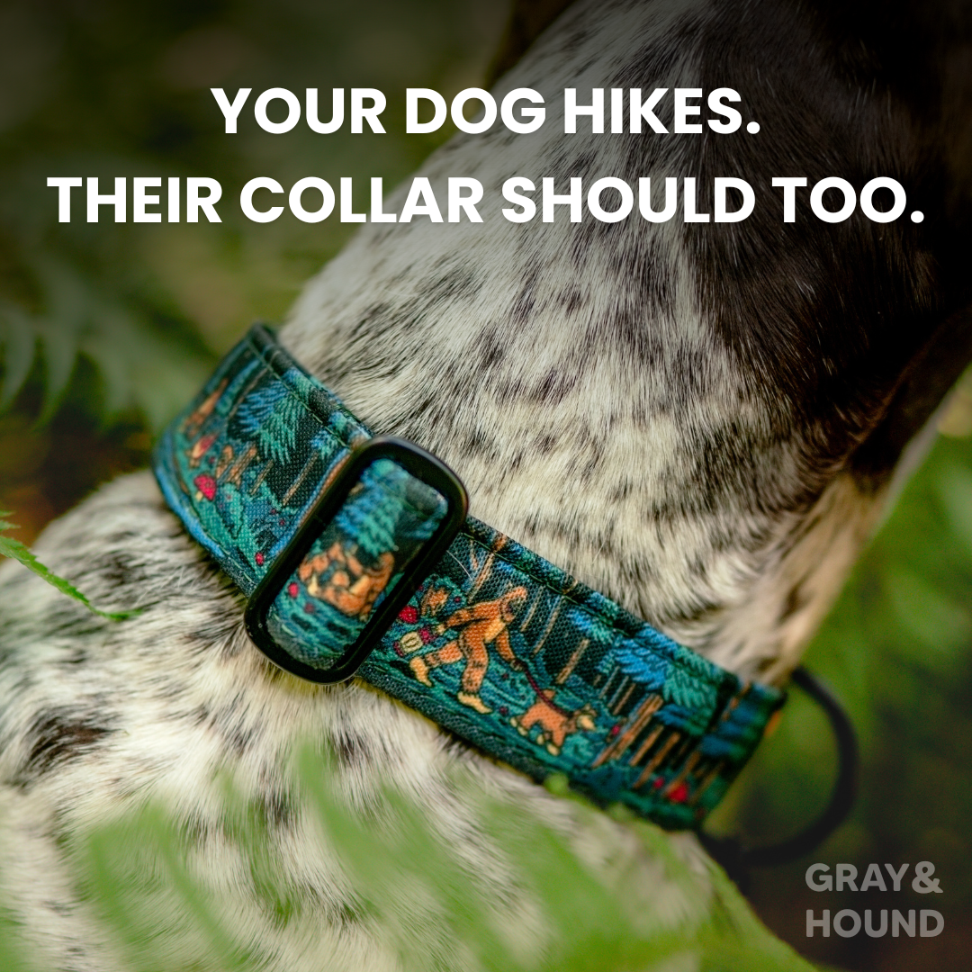 Gray and Hound Facebook ad