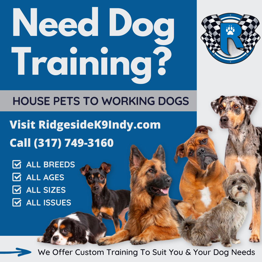 Ridgeside K9 Indy Facebook ad: Need Dog Training?
