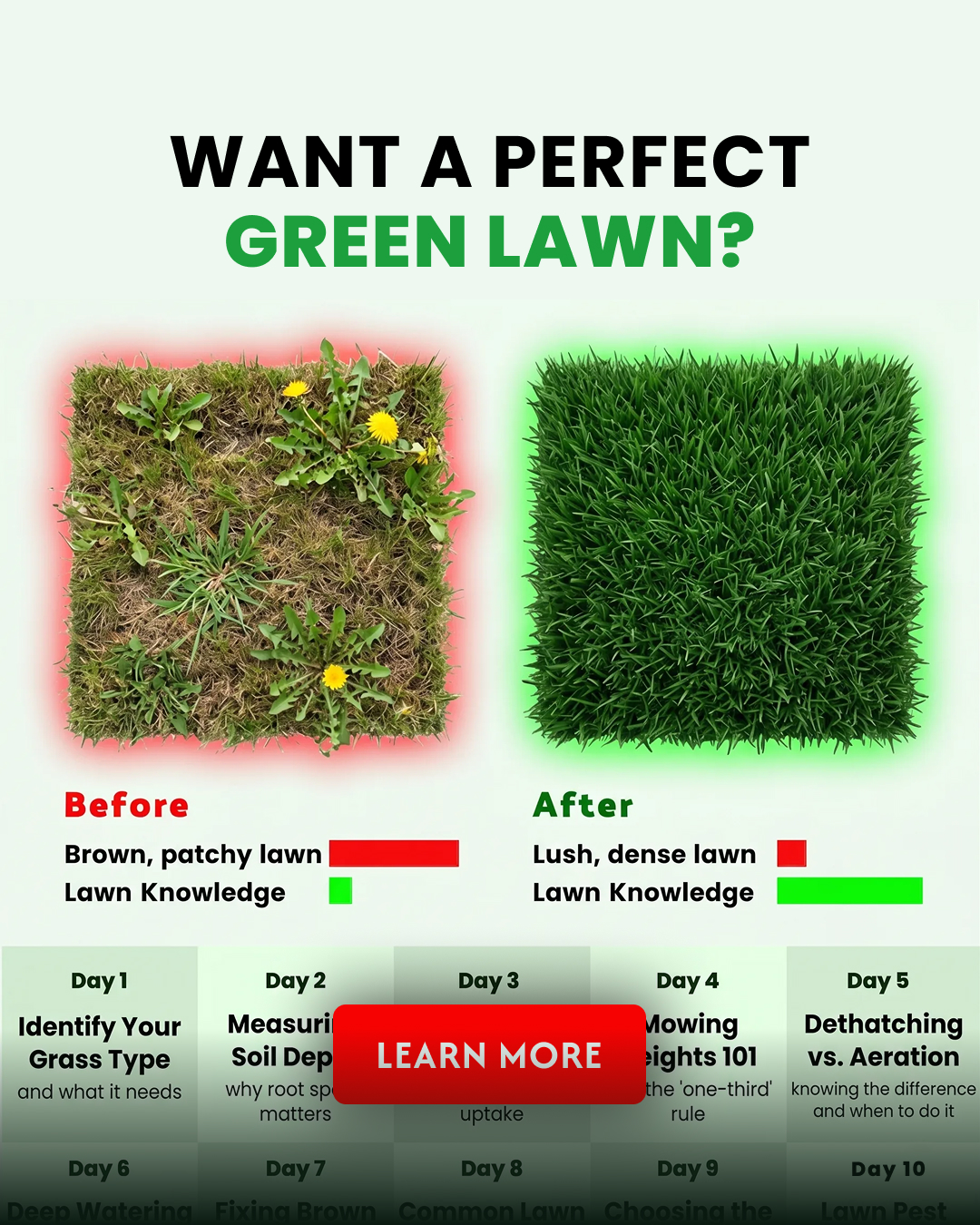 PlantIn AI: Never Kill Your Plants Facebook ad from Jun 4, 2026