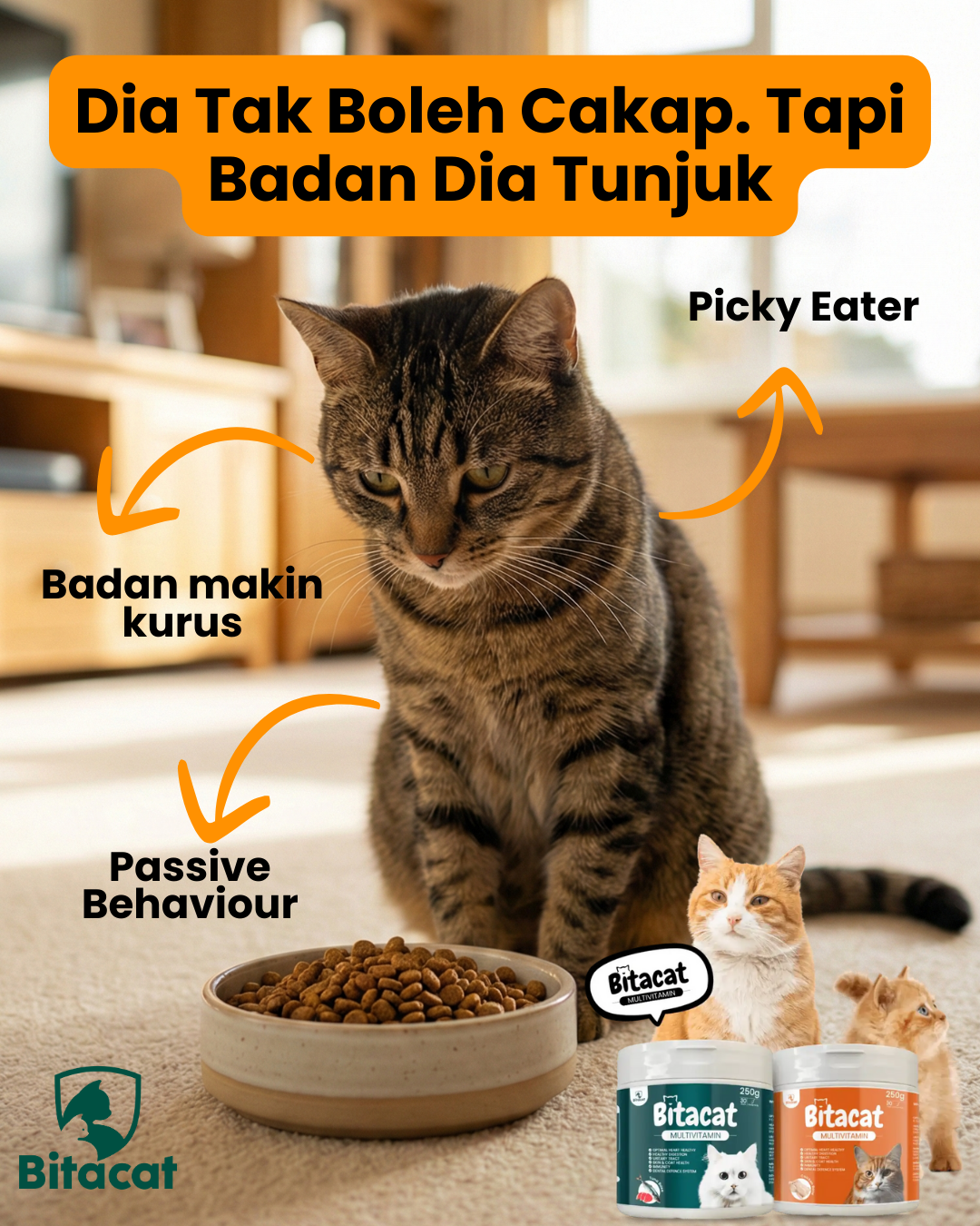 Bitacat HQ Facebook ad