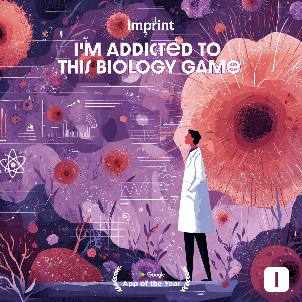 Imprint: Learn Visually Facebook ad
