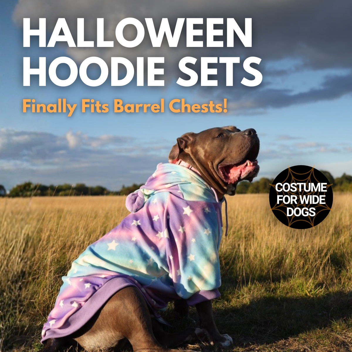 Spark Paws Facebook ad