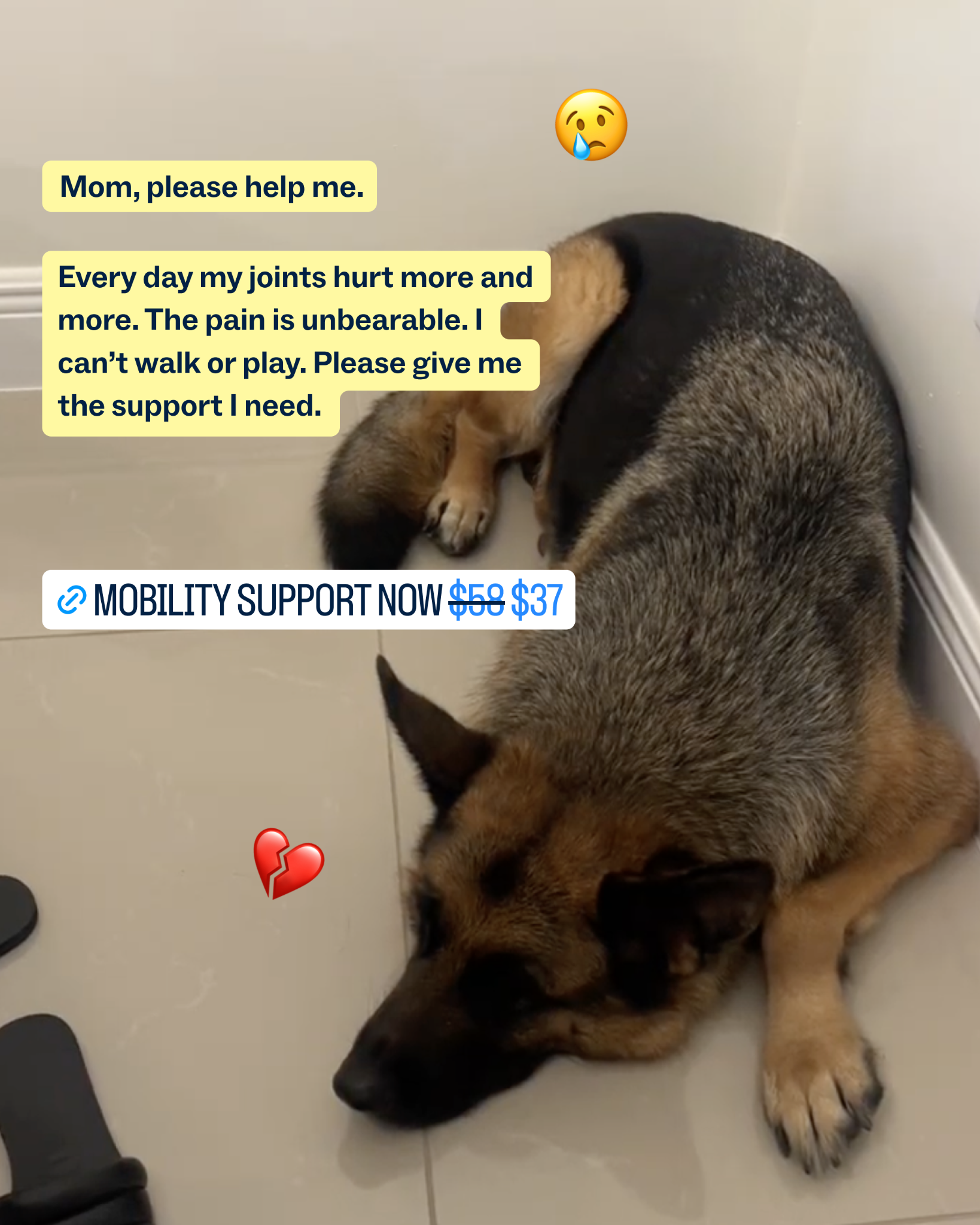 Dog is Human Facebook ad