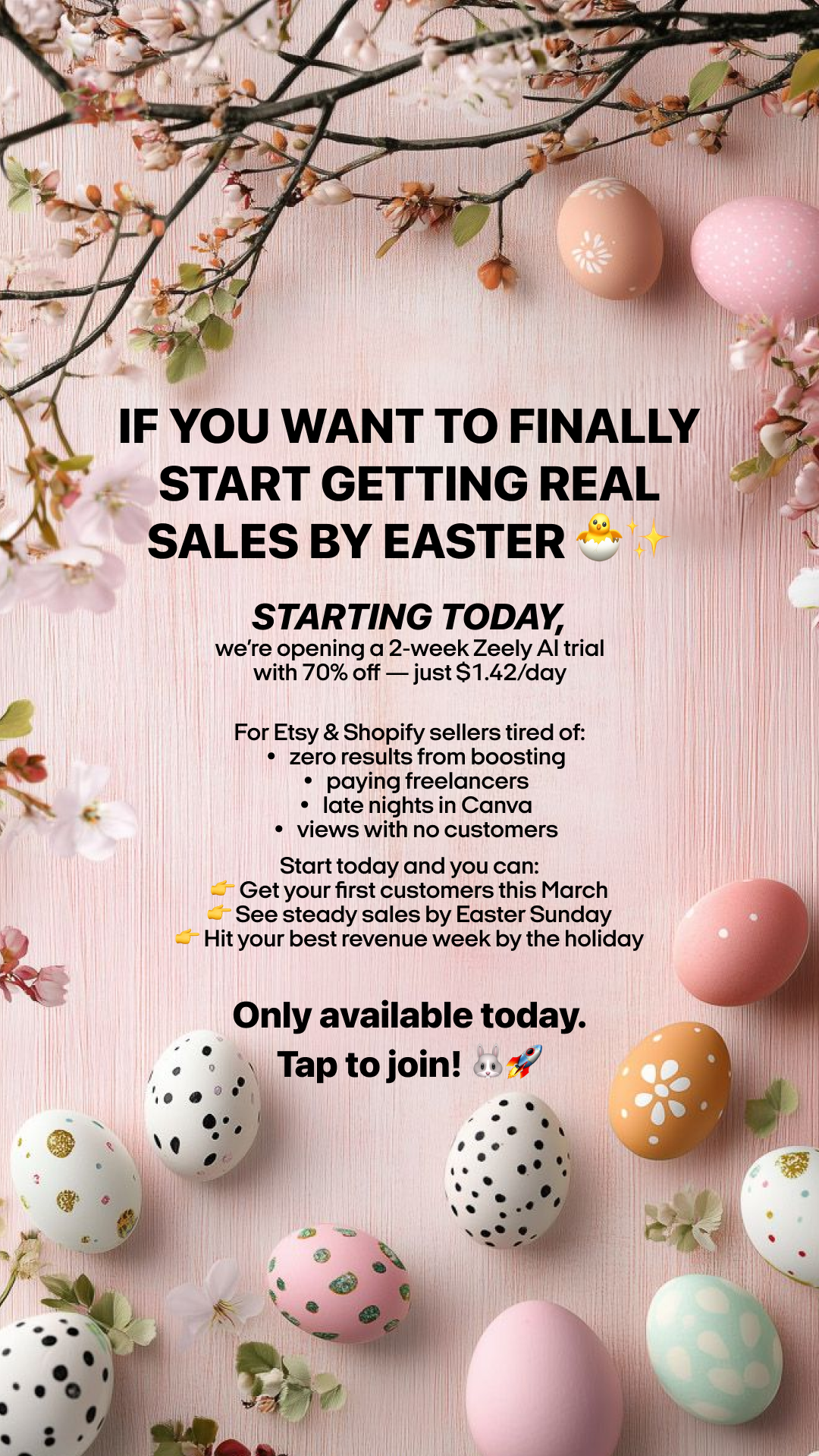 Zeely Facebook ad