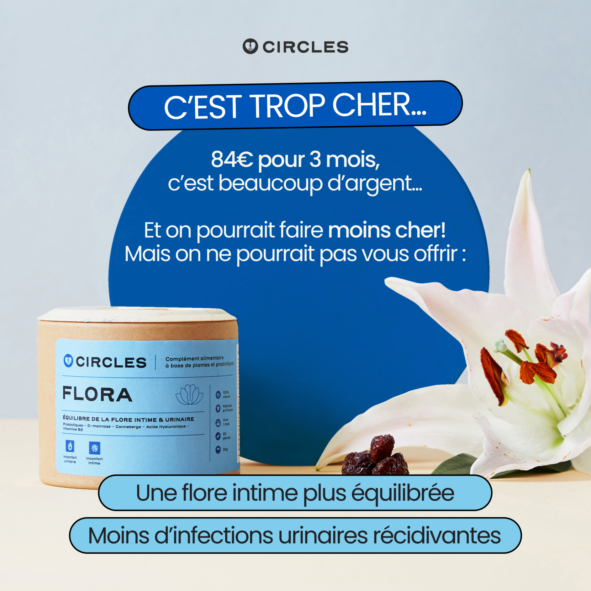 Circles Facebook ad
