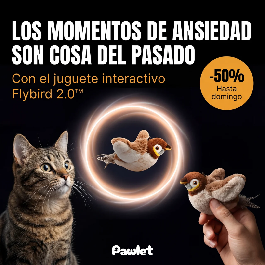 Pawlet Facebook ad