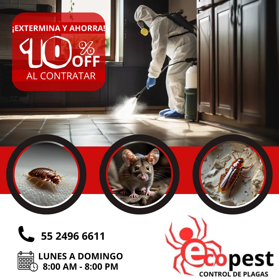 Ecopest Fumigación Facebook ad: OLVIDATE DE LAS PLAGAS